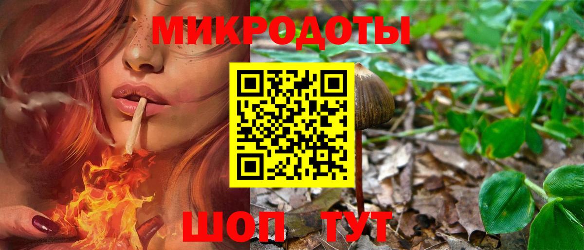 Галлюциногенные грибы мицелий Воронеж