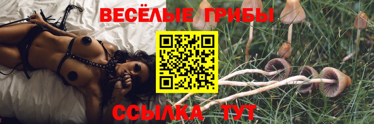 Псилоцибиновые грибы GOLDEN TEACHER  Галлюциногенные грибы мухоморы  Воронеж  Вход с VPN 